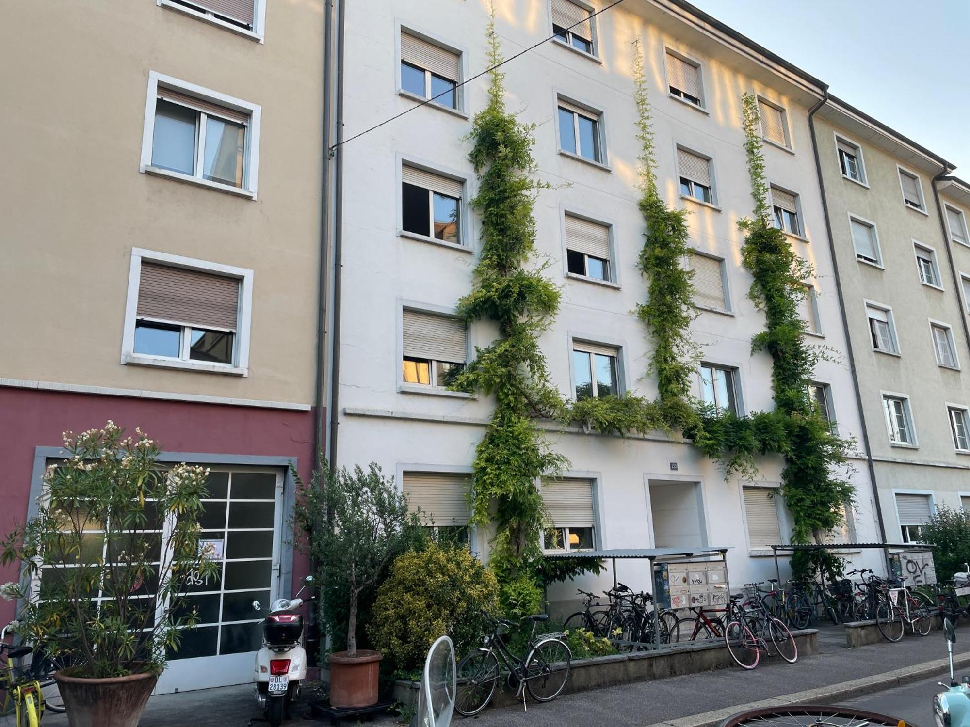 Apartment Full In Basel